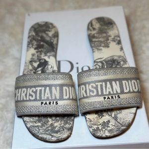 Christian Dior Dway Slides